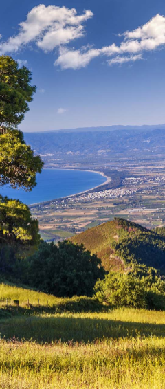 img-4